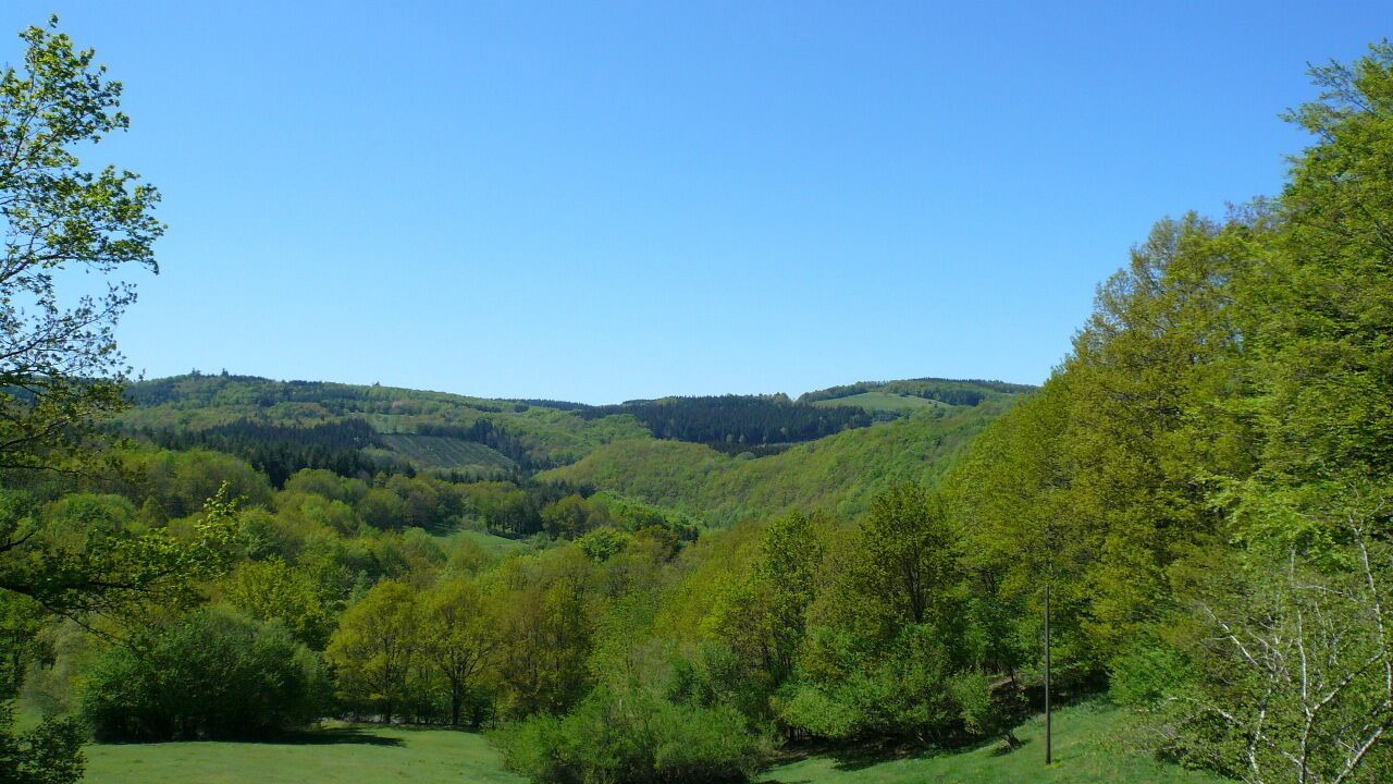 Photo of Others in Castelnau-de-Brassac