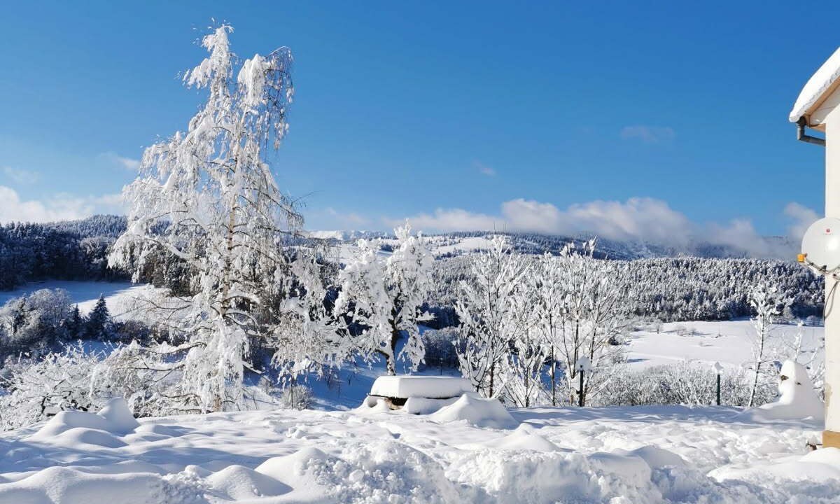 Photo of Outdoor in Orbey