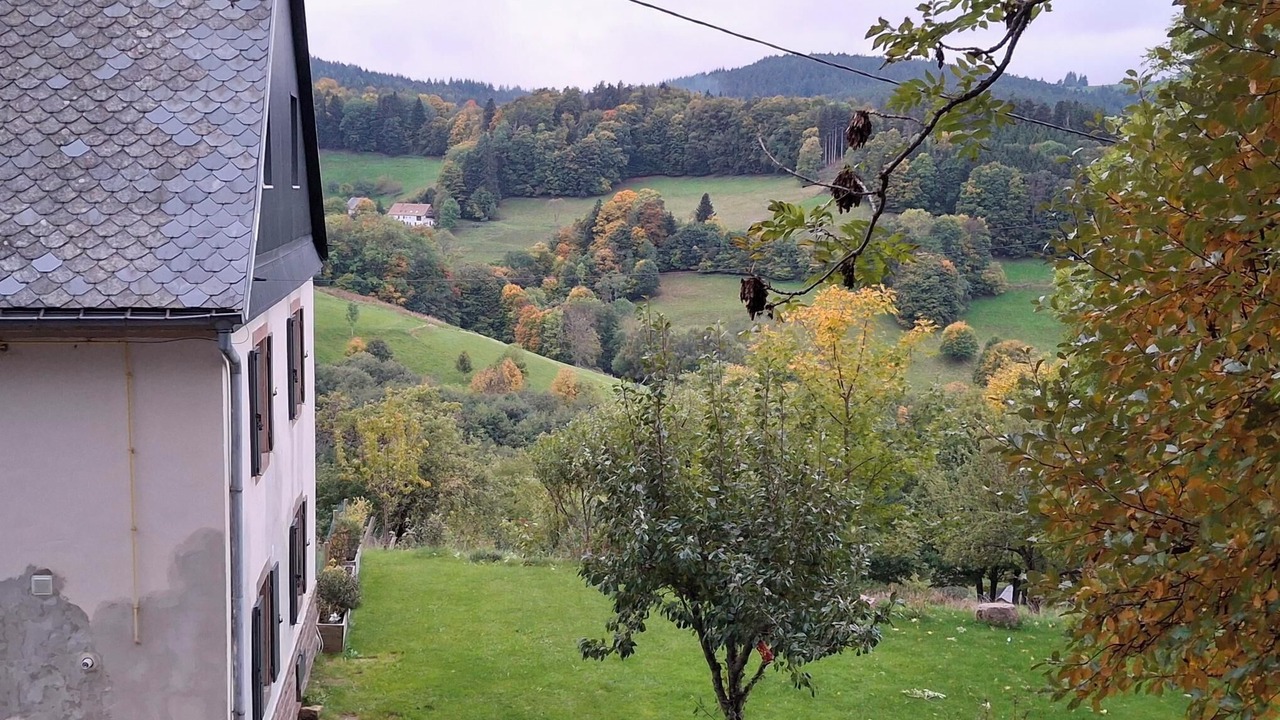 Photo of Outdoor in Orbey