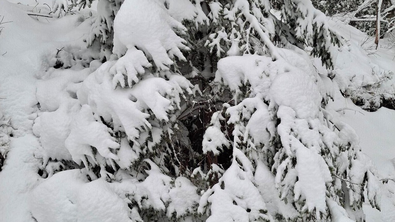 Photo of Others in Orbey