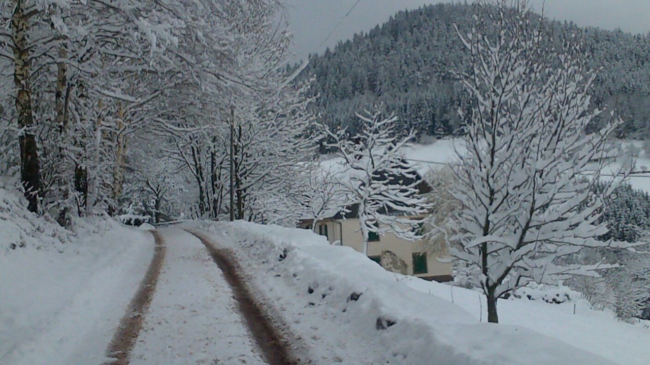 Photo of Others in Orbey