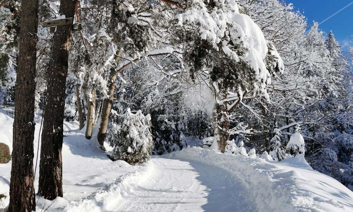 Photo of Others in Orbey