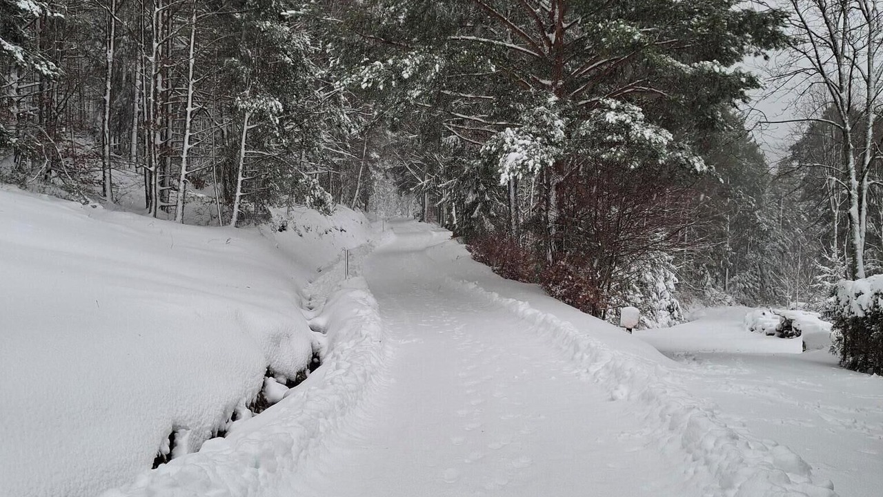 Photo of Others in Orbey