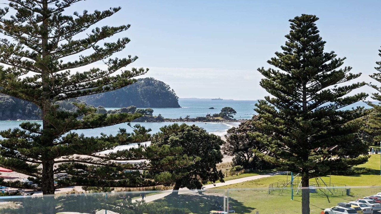 Photo of Others in Mount Maunganui