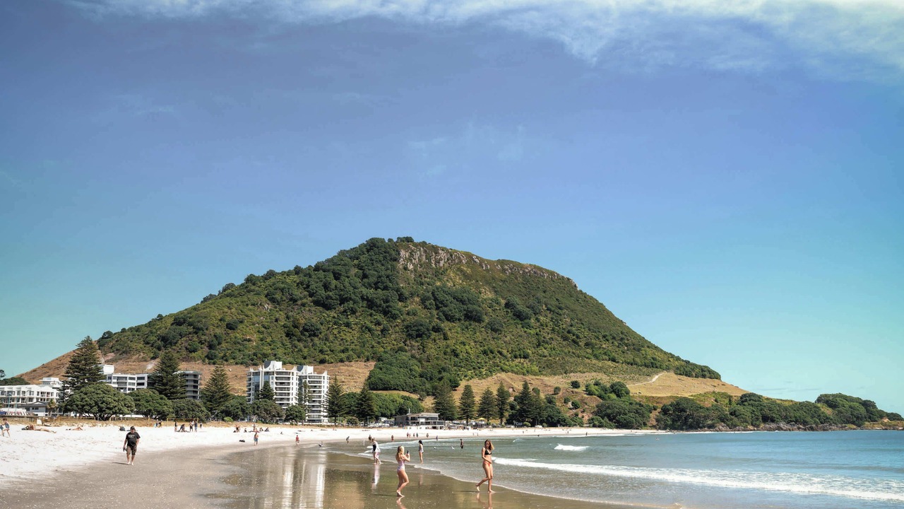Photo of Others in Mount Maunganui