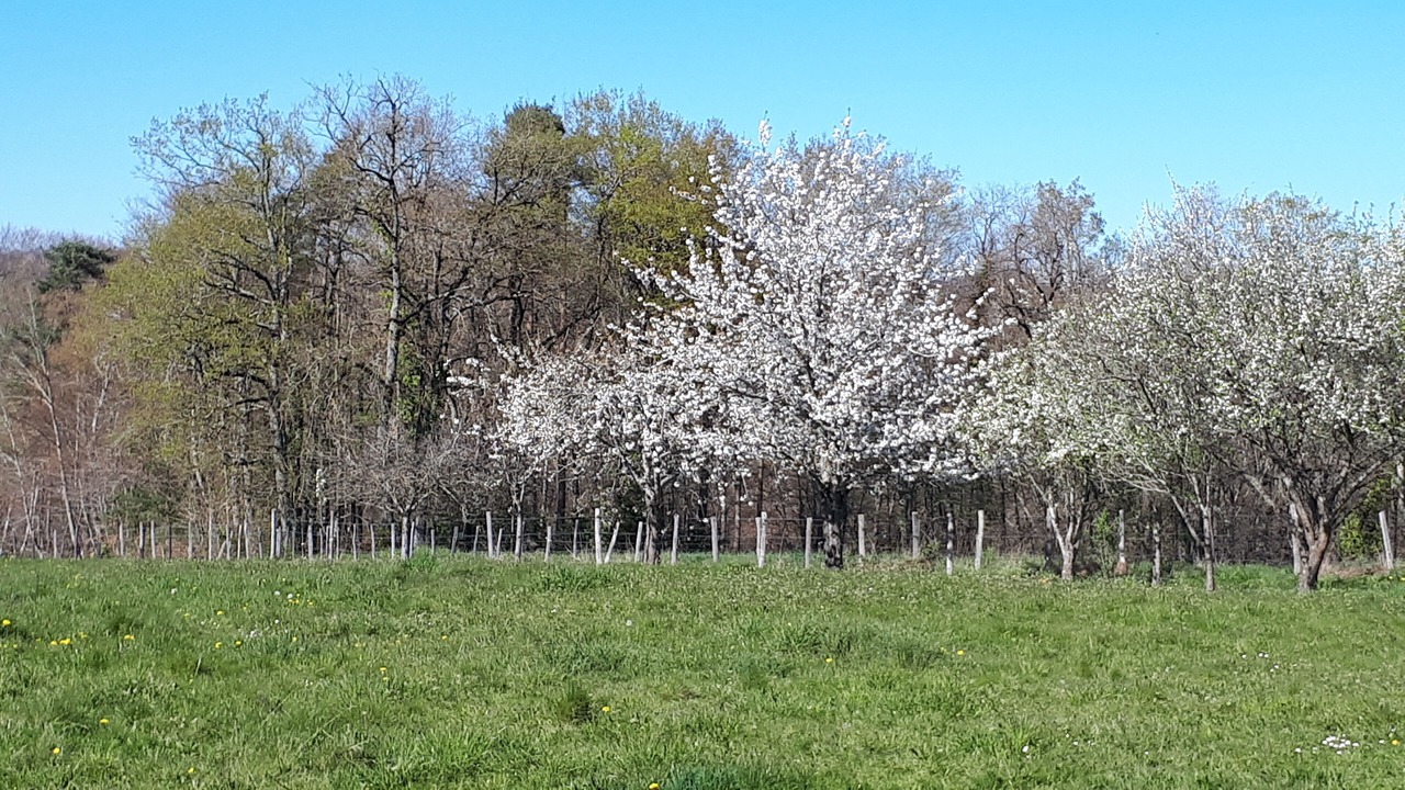 Photo of Outdoor in Quezac