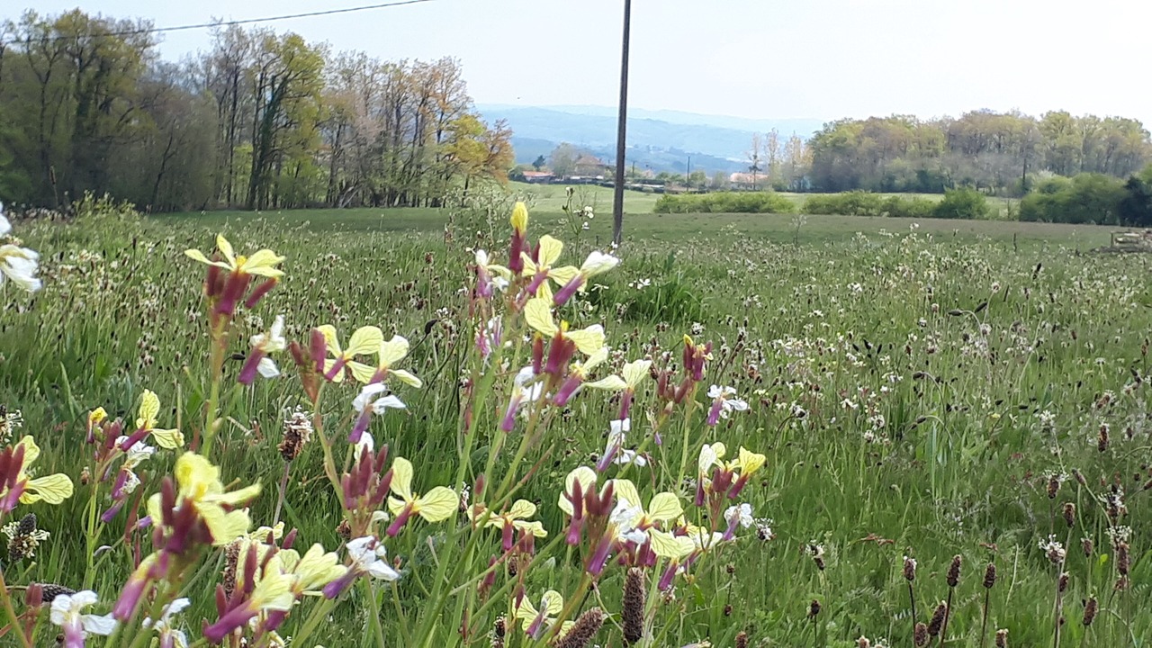 Photo of Outdoor in Quezac
