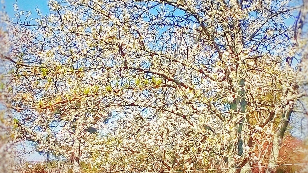 Photo of Outdoor in Preignac