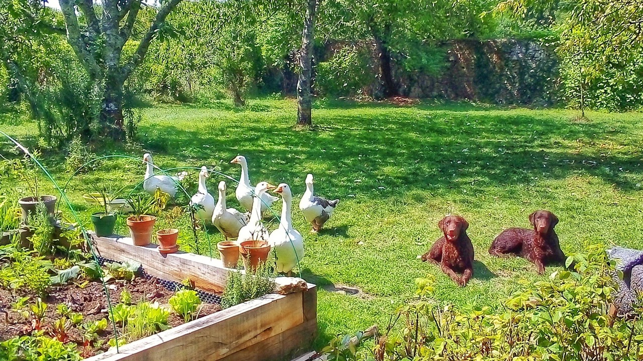 Photo of Outdoor in Preignac