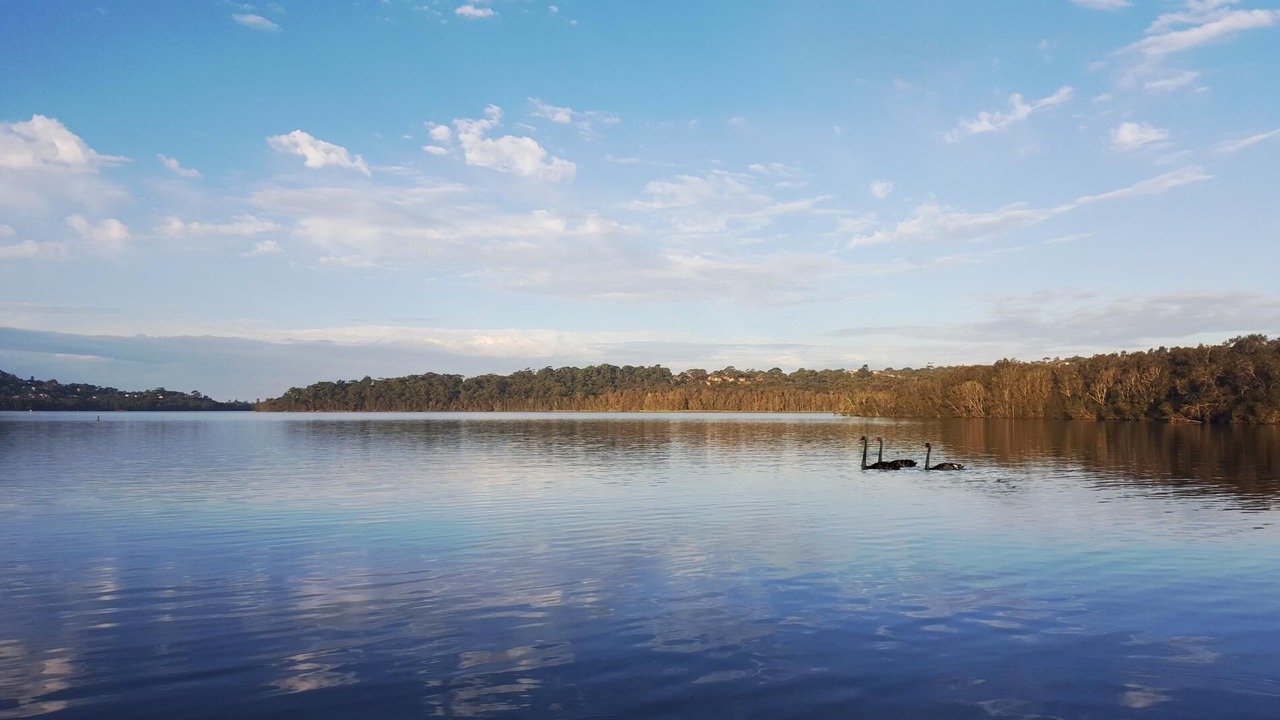 Photo of Others in Narrabeen