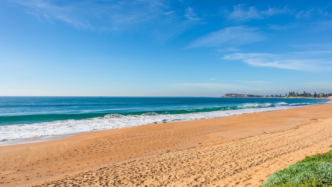 Photo of Others in Narrabeen