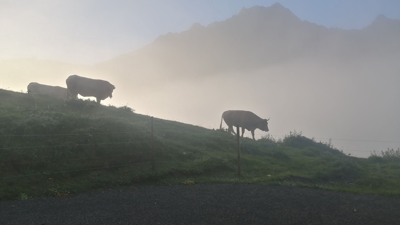 Photo of Outdoor in La Mongie