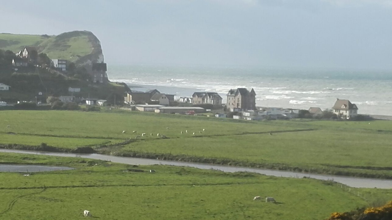 Photo of Others in Veulettes-sur-Mer