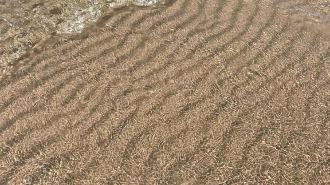 Photo of Others in Sylvan Beach