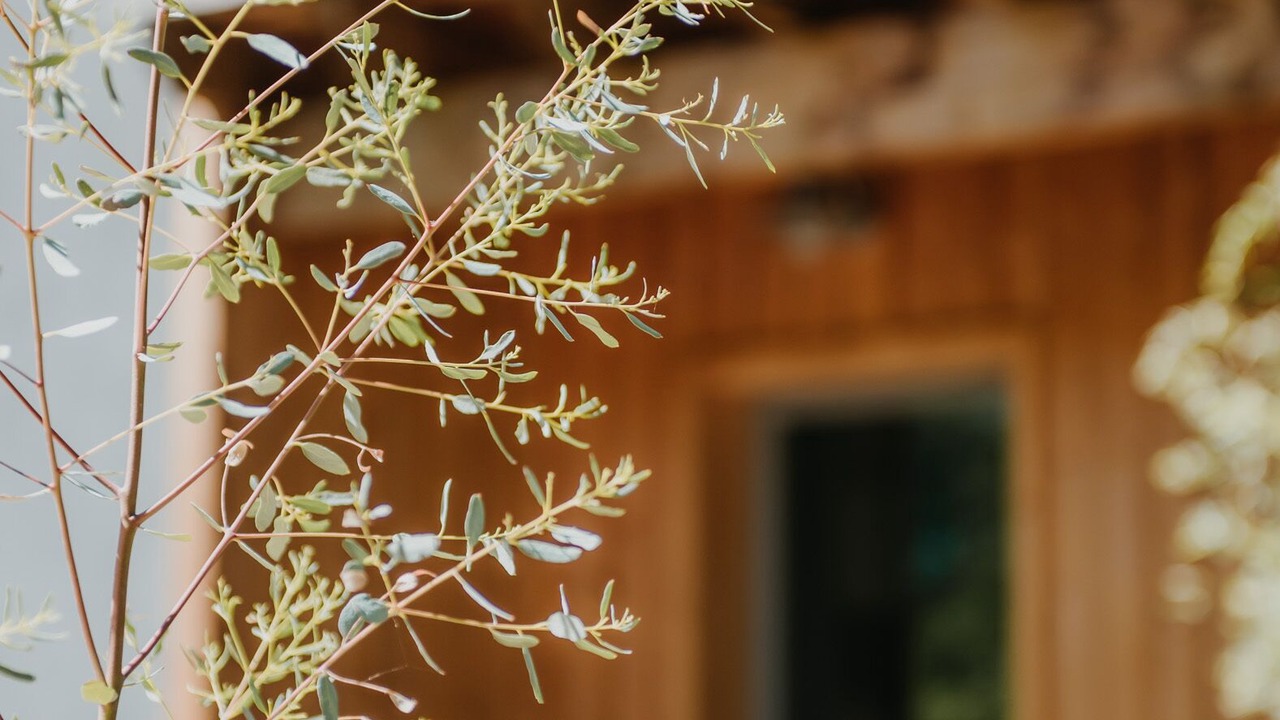 Photo of Outdoor in Gap