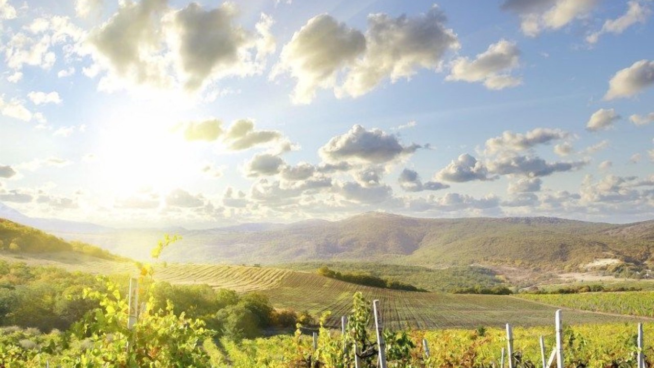 Photo of Others in Fairfield