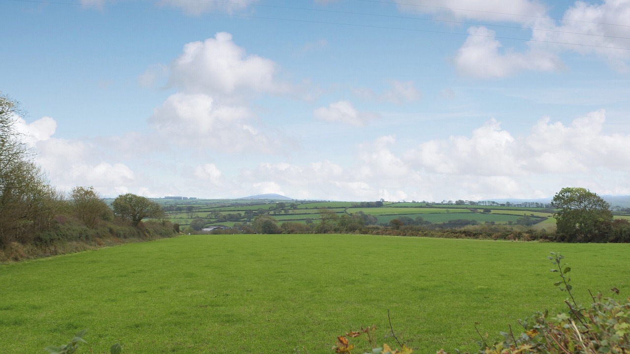 Photo of Others in Cardigan