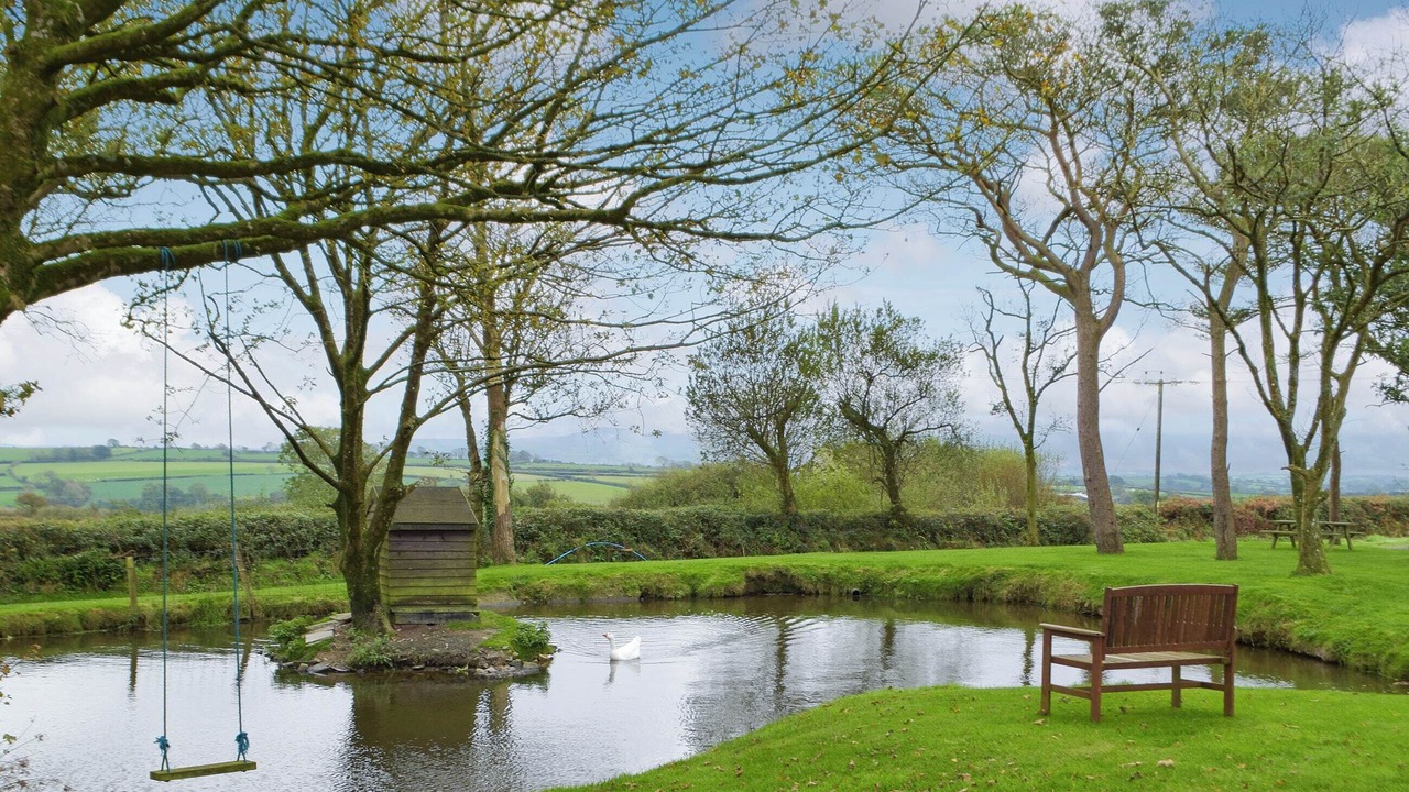 Photo of Outdoor in Cardigan