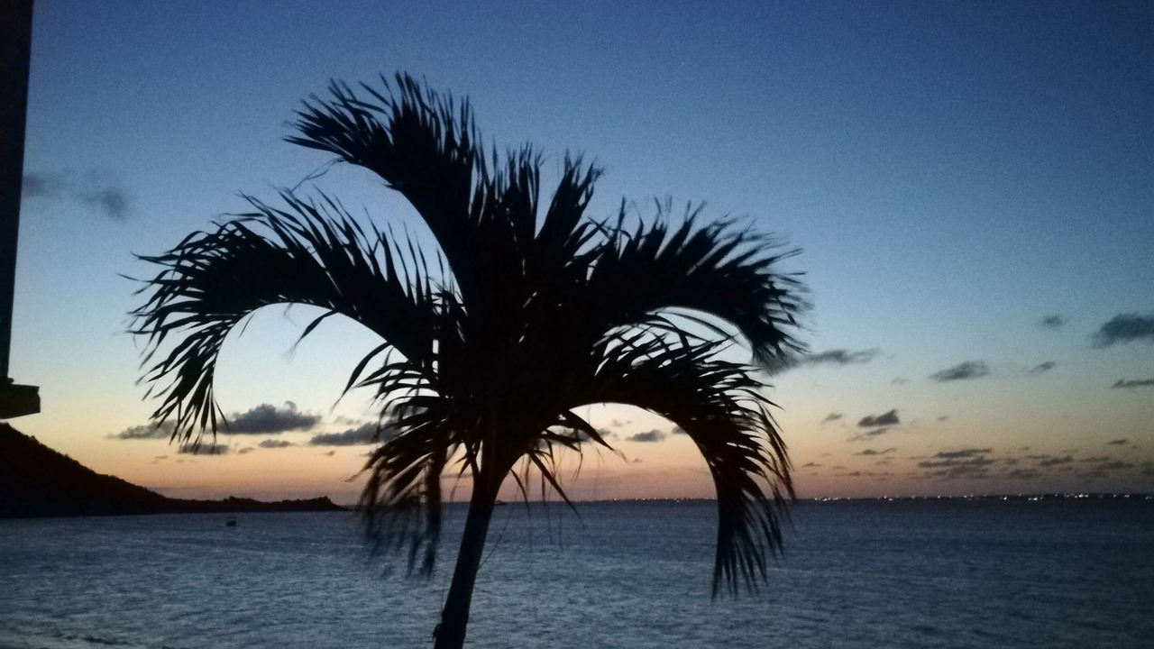 Photo of Others in Grand Case