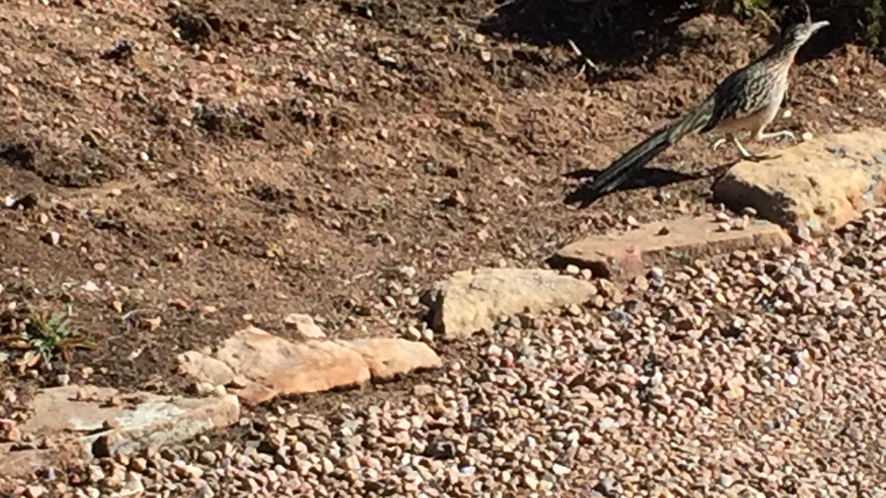 Photo of Others in Santa Fe