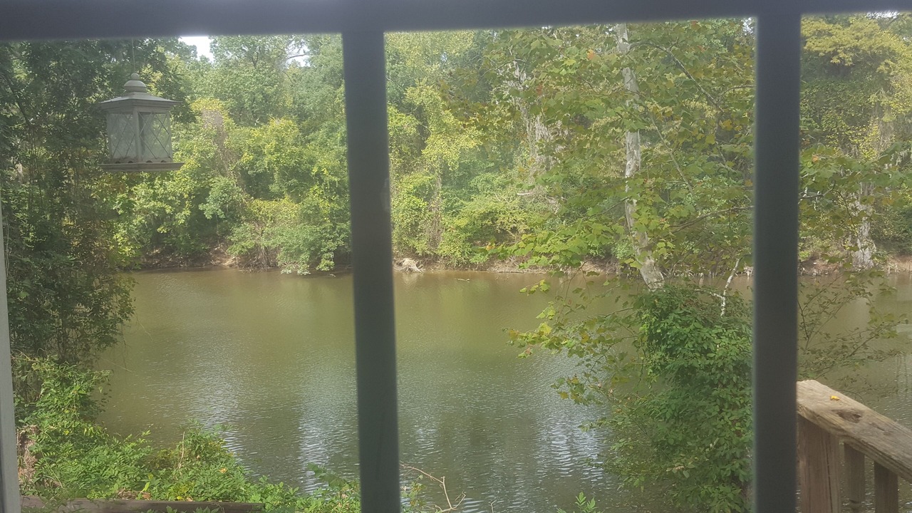 Photo of Others in Greenville