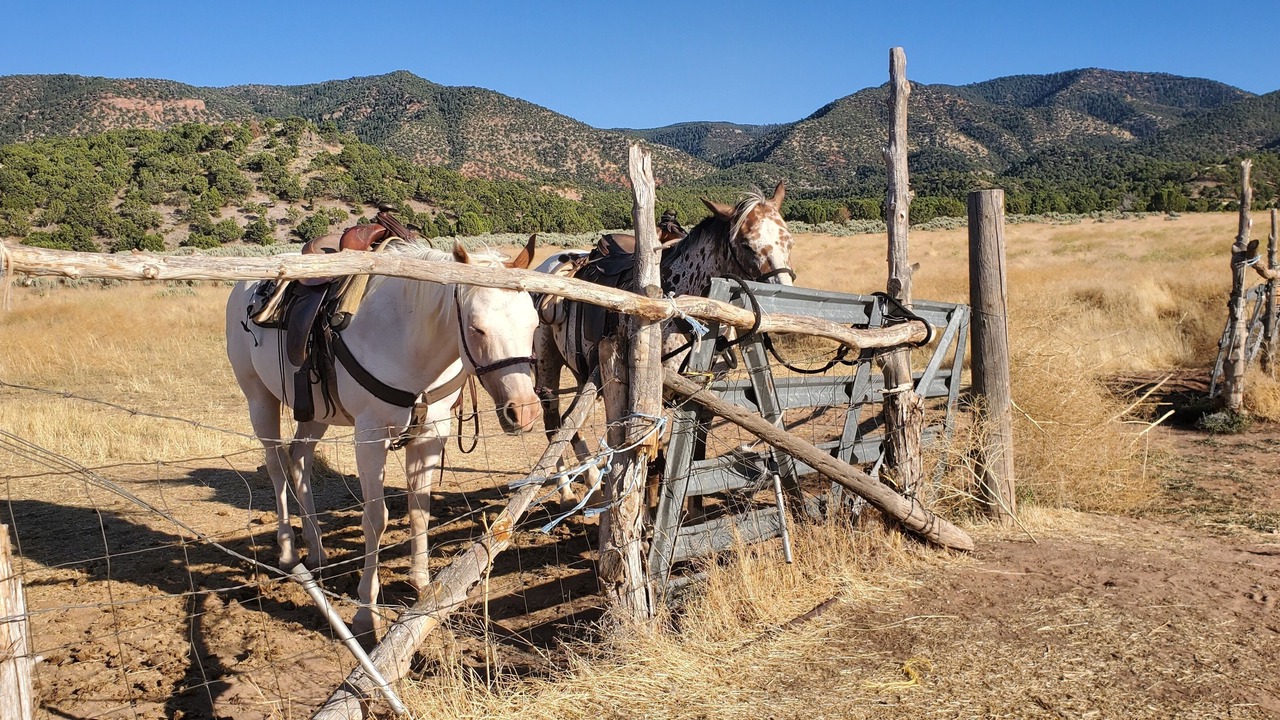 Photo of Outdoor in Brian Head