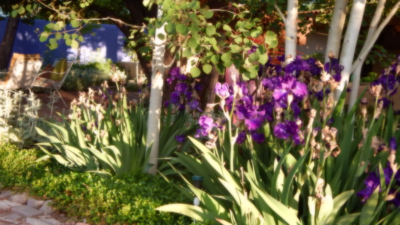 Photo of Outdoor in Santa Fe