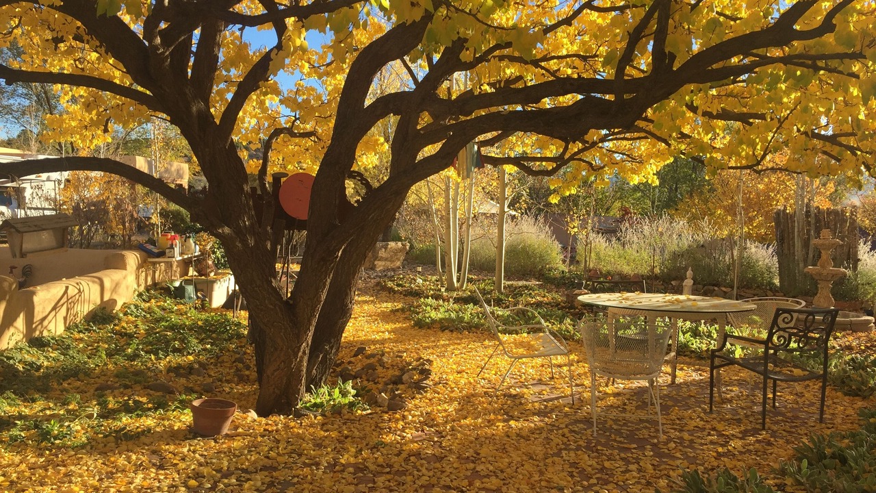 Photo of Outdoor in Santa Fe