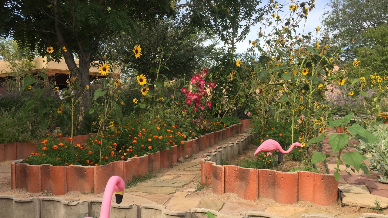 Photo of Outdoor in Santa Fe