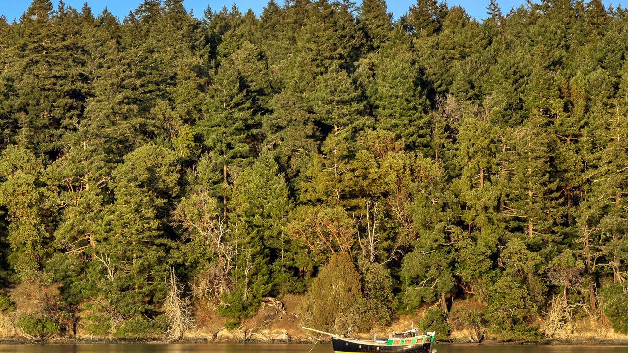Photo of Others in Friday Harbor