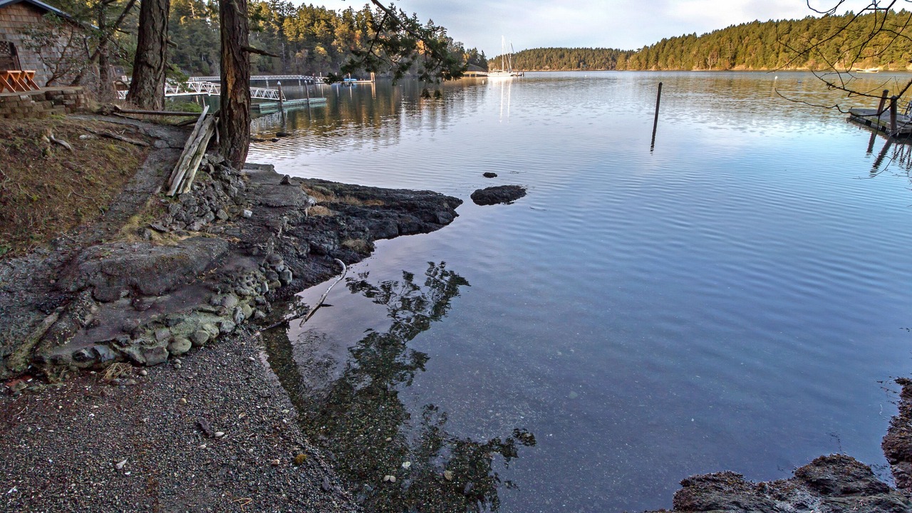 Photo of Others in Friday Harbor