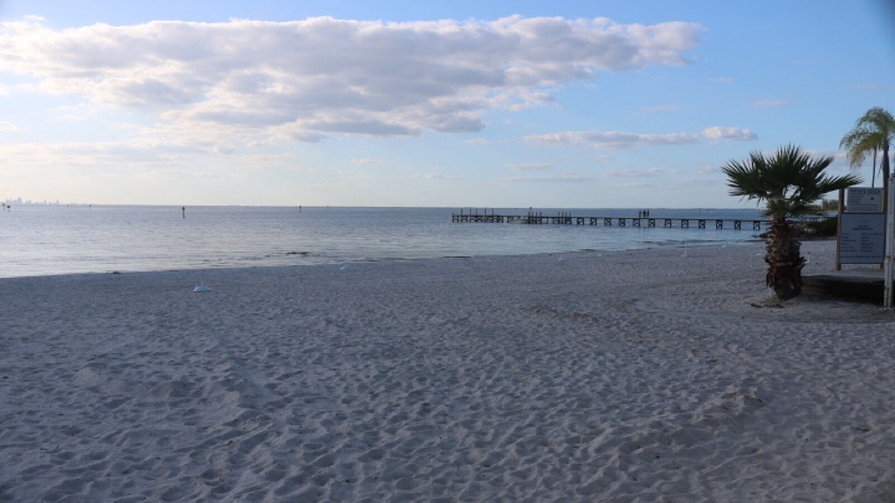 Photo of Others in Ruskin