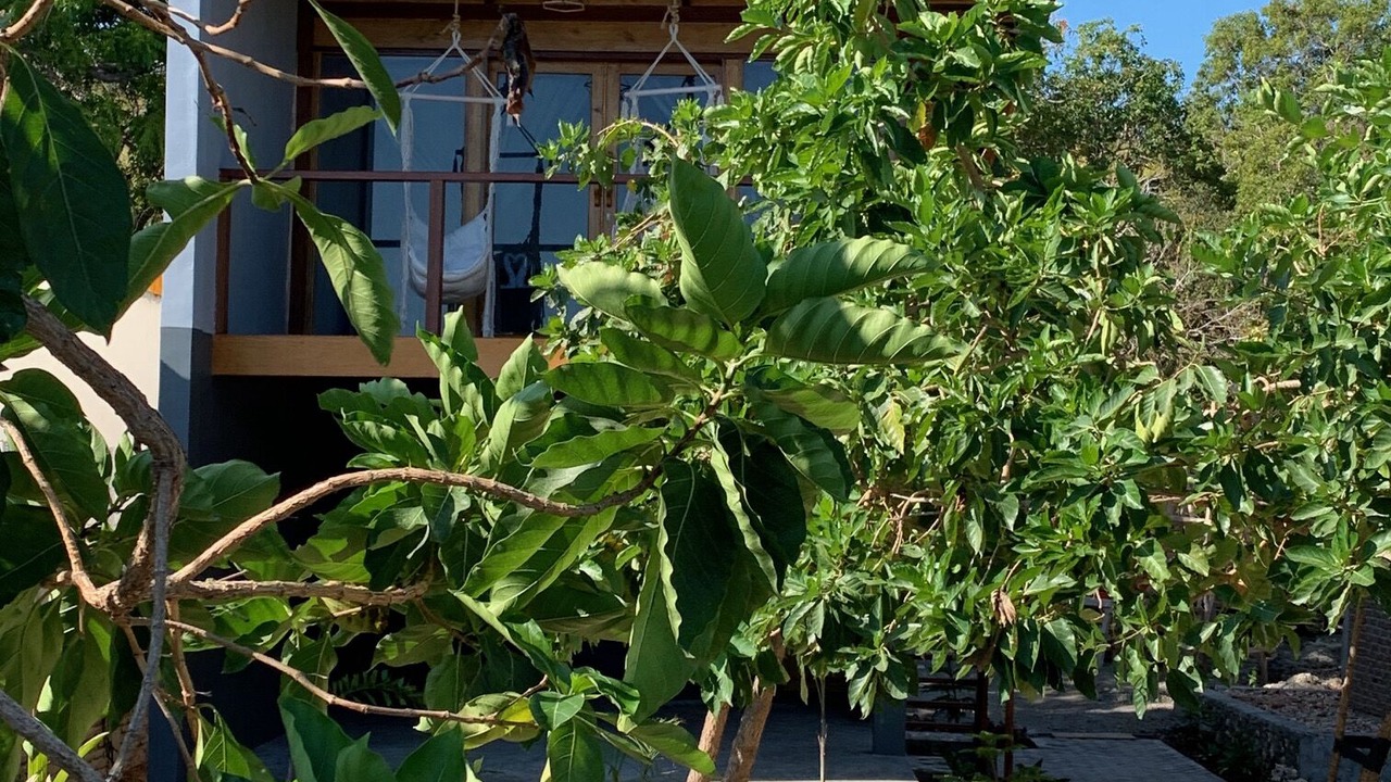 Photo of Outdoor in Bira