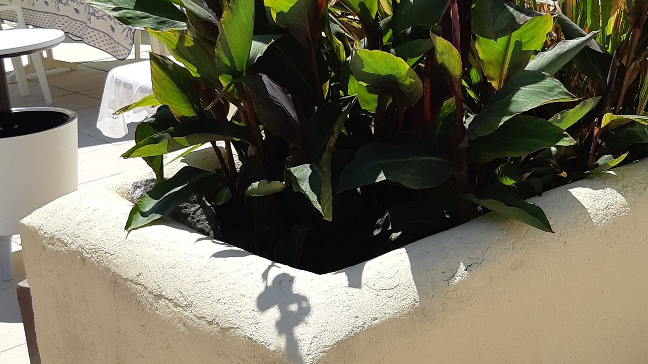 Photo of Outdoor in Estampes