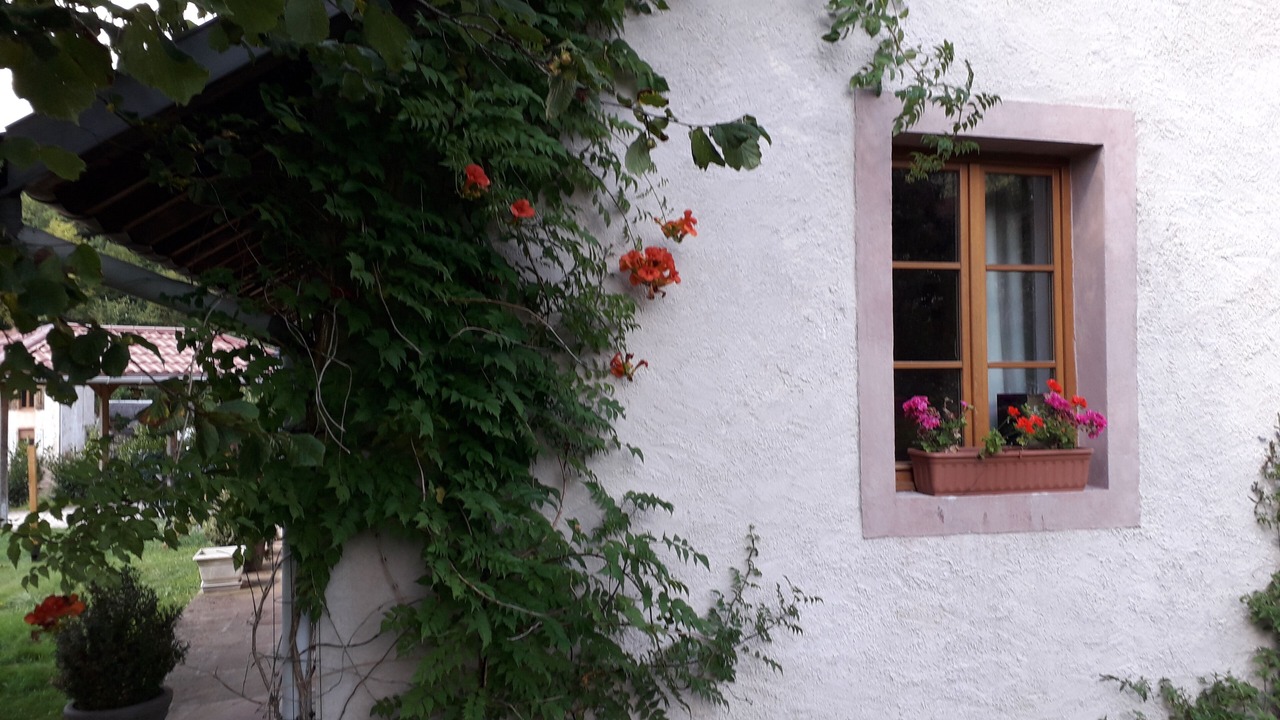 Photo of Outdoor in Le Saulcy