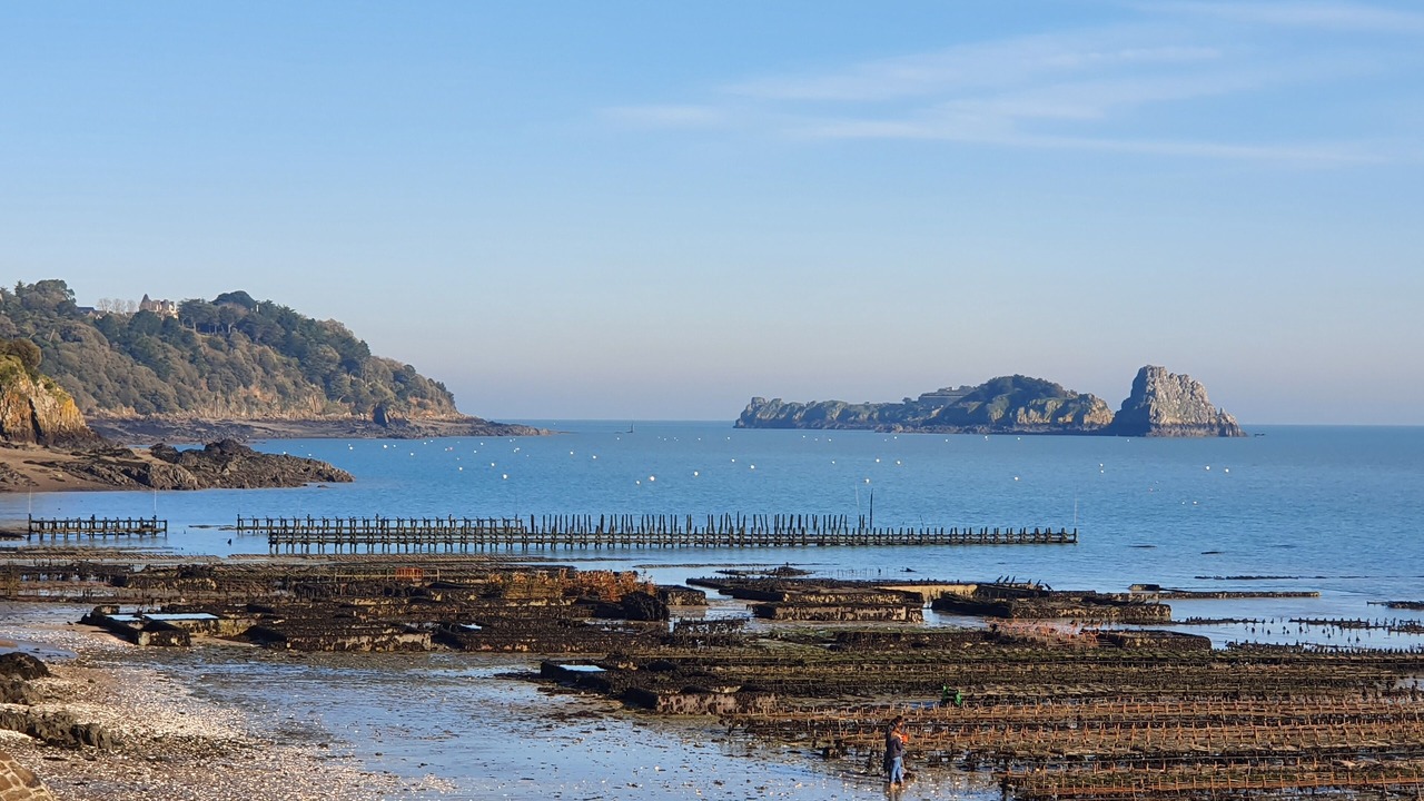 Photo of Others in Bonnemain