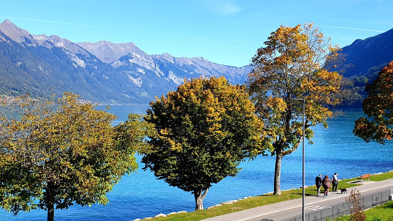 Photo of Outdoor in Boenigen