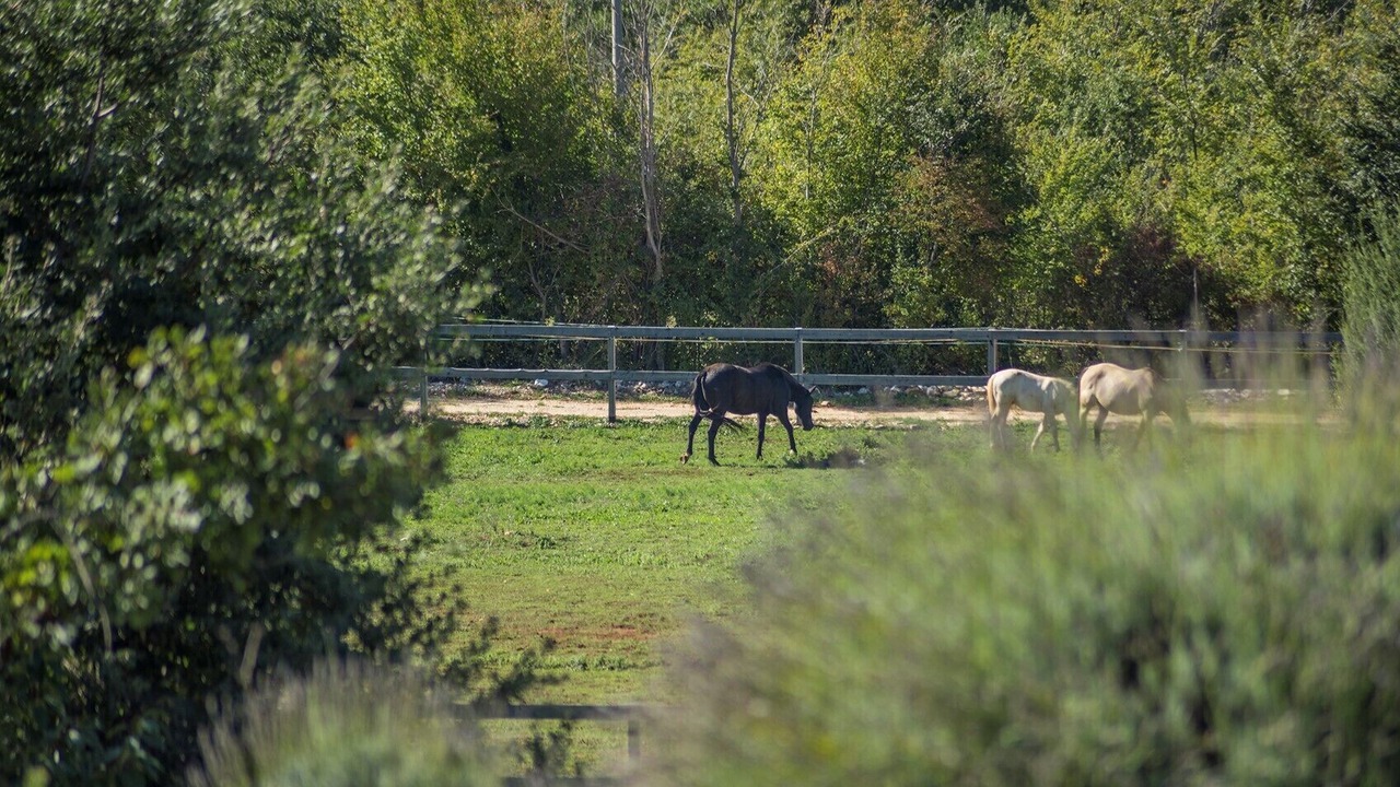 Photo of Outdoor in Kanfanar