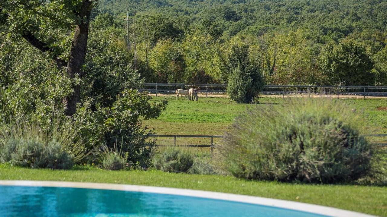 Photo of Outdoor in Kanfanar