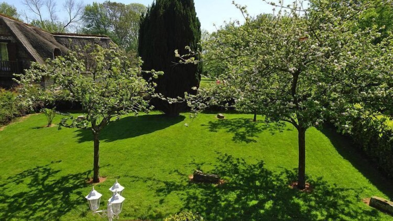 Photo of Outdoor in Saint-Martin-aux-Buneaux