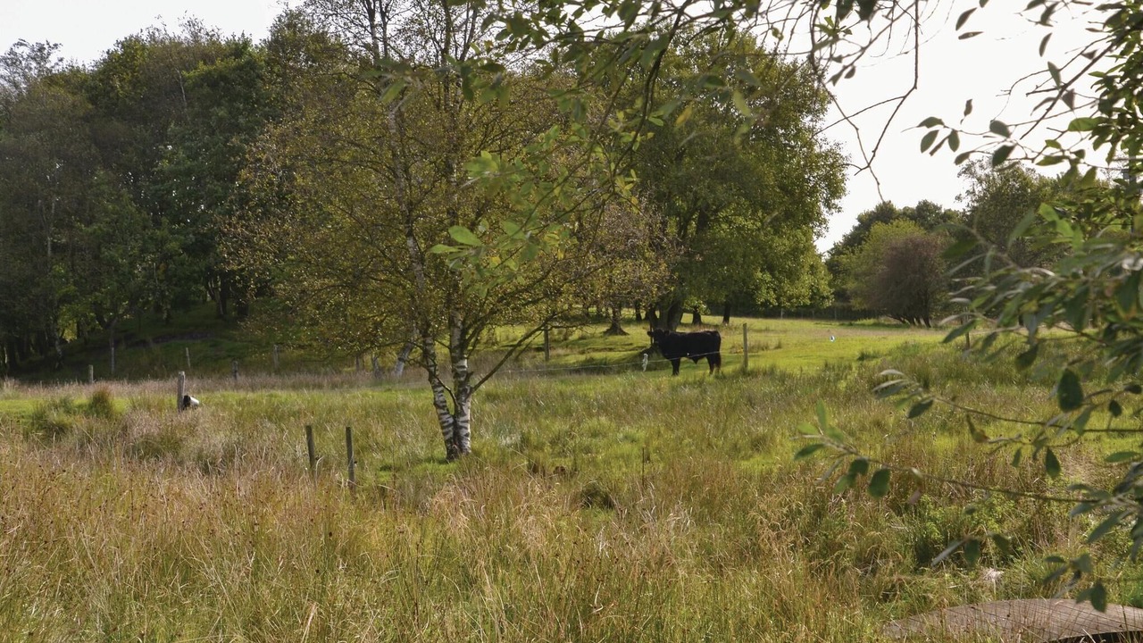 Photo of Others in Janderup