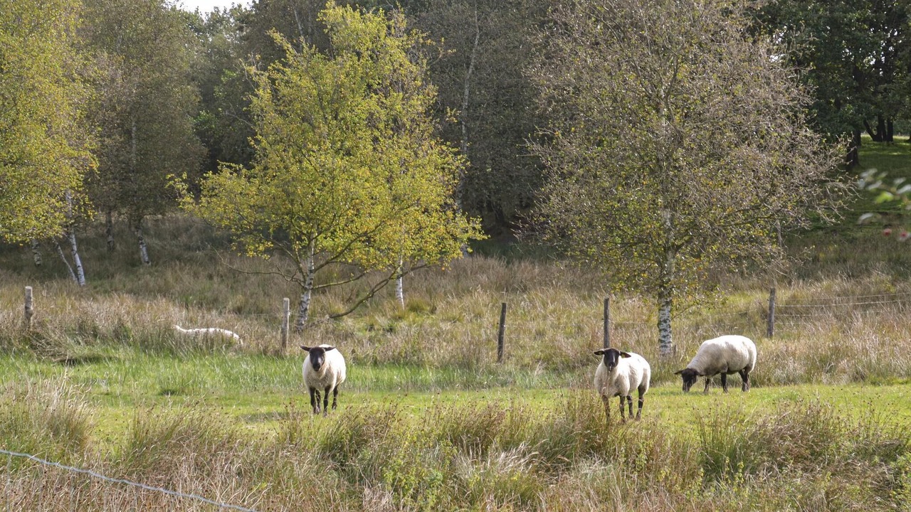 Photo of Others in Janderup
