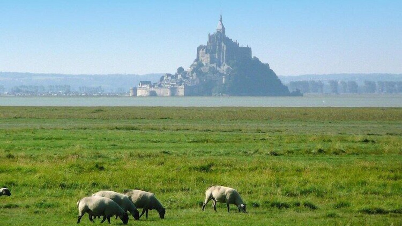 Photo of Others in Cherrueix