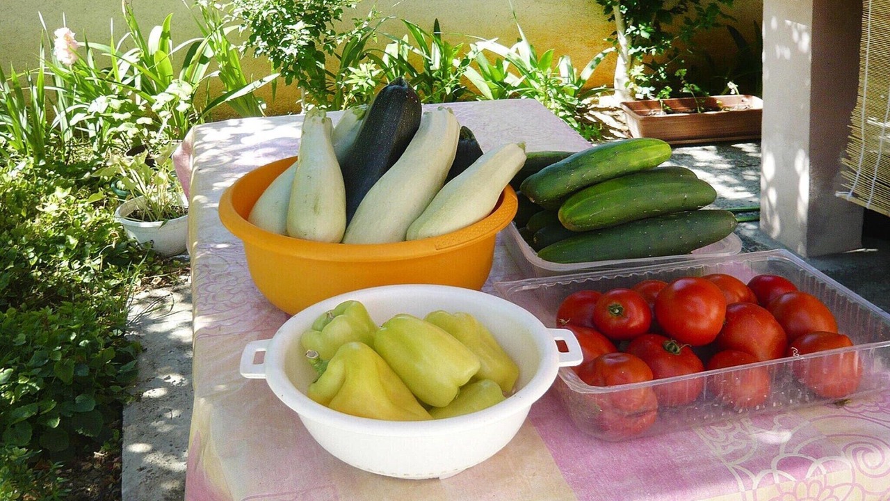 Photo of Others in Privlaka