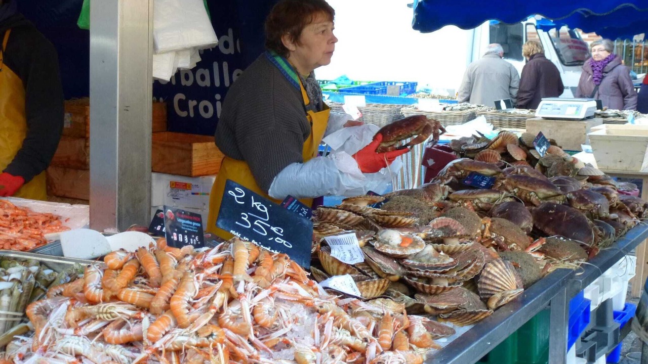 Photo of Others in La Poterie-Cap-d'Antifer