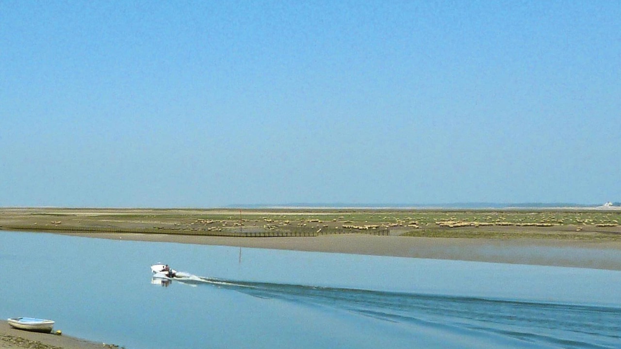 Photo of Others in Cayeux-sur-Mer