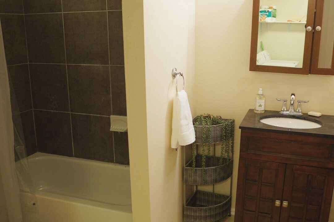 Photo of Bathroom in Irish Channel