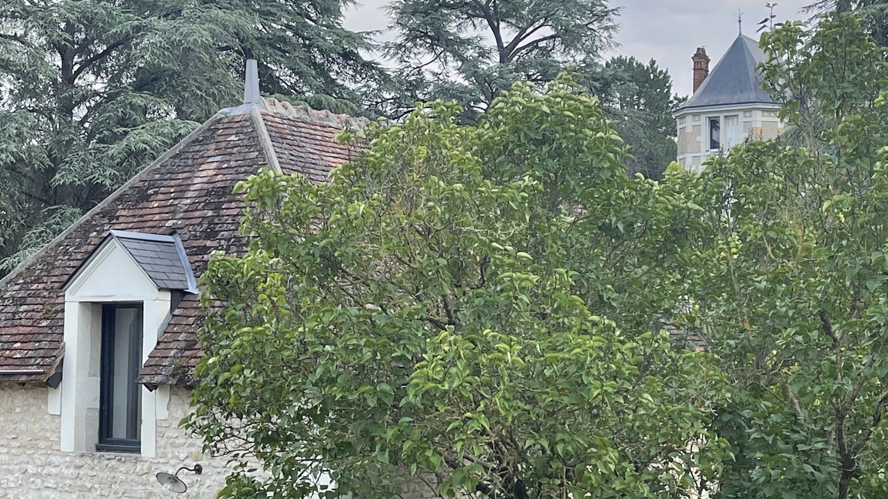 Photo of Outdoor in Saint-Georges-sur-Cher