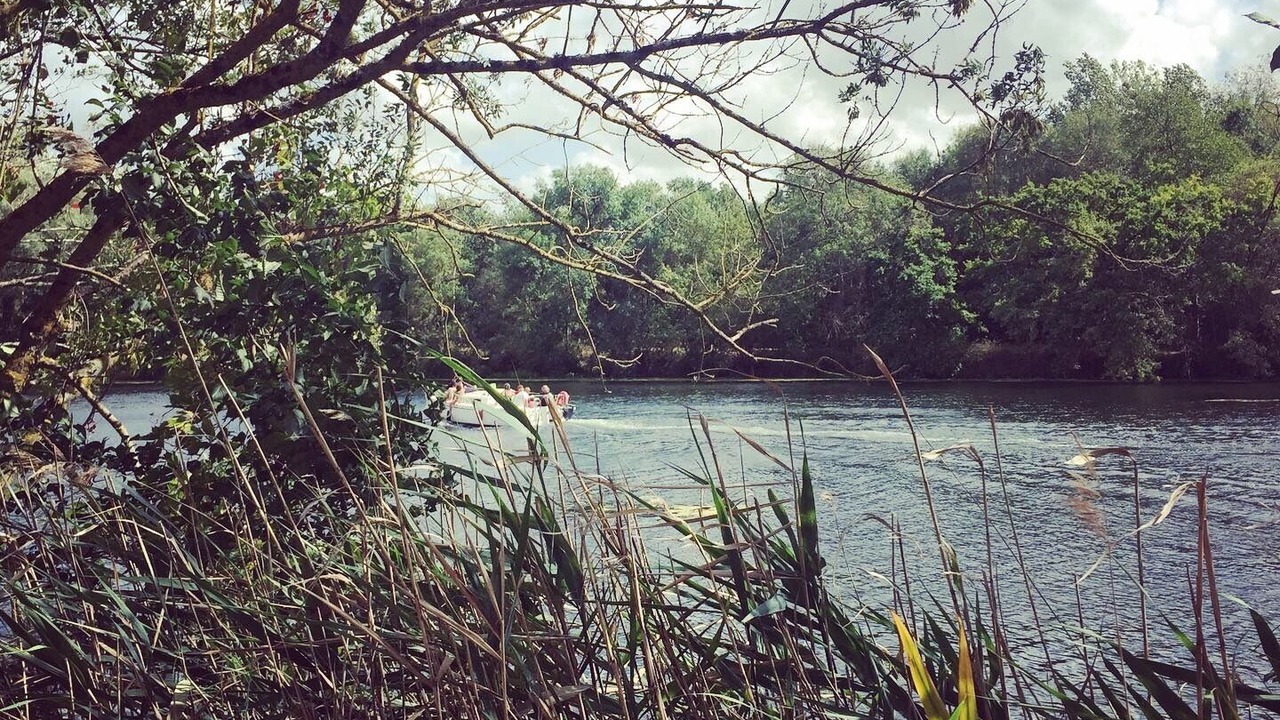 Photo of Others in Saint-Georges-sur-Cher