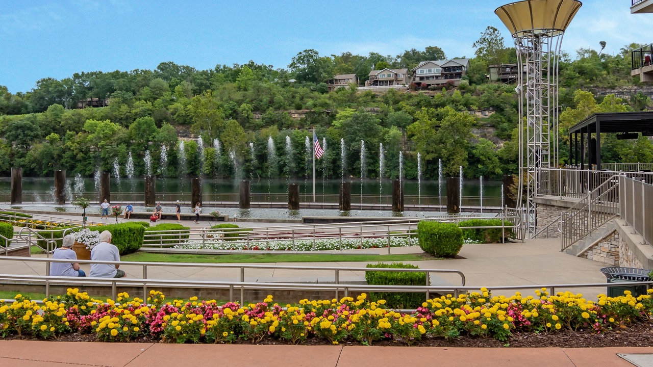 Photo of Others in Branson